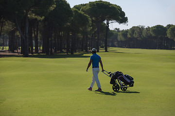 Image showing golf player walking with wheel bag