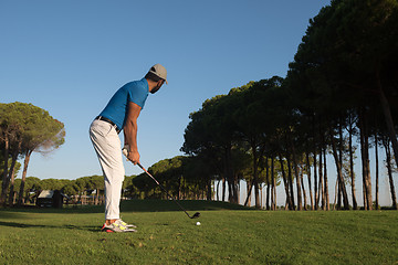 Image showing golf player