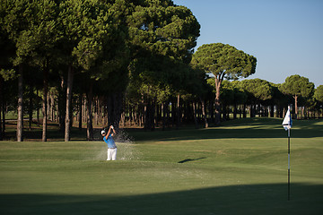 Image showing pro golfer hitting a sand bunker shot