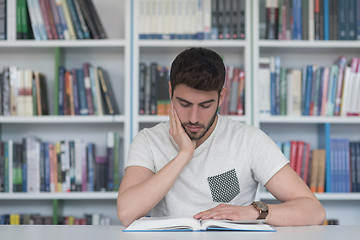 Image showing student study  in school library