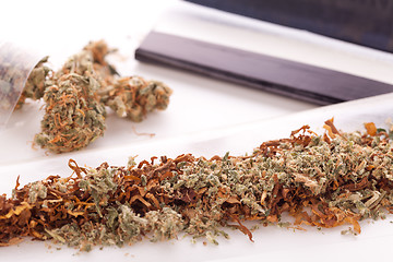 Image showing Dried Cannabis on Rolling Paper with Filter