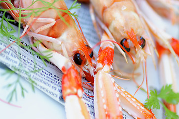 Image showing Delicious Raw Langoustines