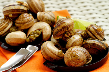 Image showing Snails with Garlic Butter