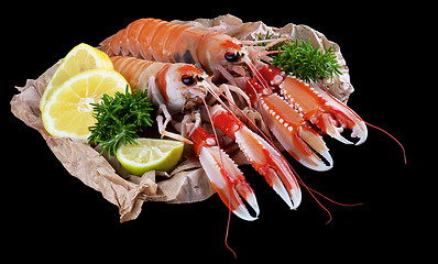 Image showing Delicious Raw Langoustines