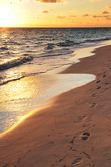 Image showing Footprints on sandy beach at sunrise