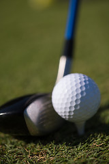 Image showing golf club and ball in grass