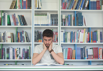 Image showing student study  in school library