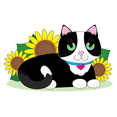 Image showing Tuxedo Cat