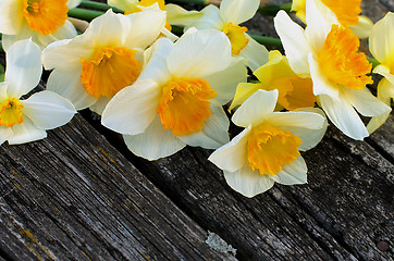 Image showing Spring Yellow Daffodils