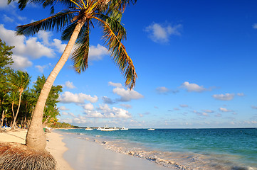 Image showing Tropical beach