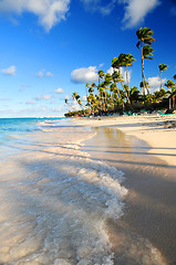 Image showing Tropical beach