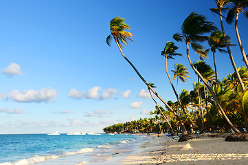 Image showing Tropical beach