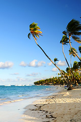 Image showing Tropical beach