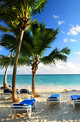 Image showing Sandy beach of tropical resort