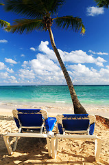 Image showing Sandy beach of tropical resort