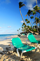 Image showing Sandy beach of tropical resort