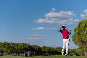 Image showing golf player hitting long shot