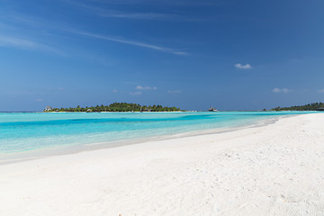 Image showing maldives island beach with palm tree and villa