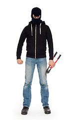 Image showing Robber with red bolt cutters