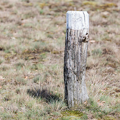 Image showing Painted marking at a walking path