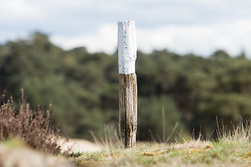 Image showing Painted marking at a walking path