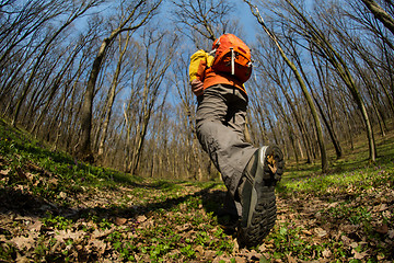 Image showing Male hiker looking to the side walking in forest