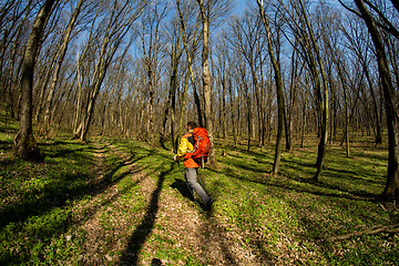 Image showing Male hiker looking to the side walking in forest