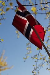 Image showing Norge i rødt, hvitt og blått