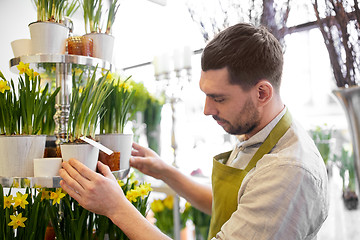 Image showing florist man setting flowers at flower shop