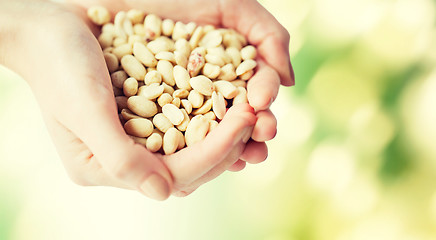 Image showing close up of woman hands holding peeled peanuts