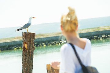 Image showing Woman watching seagull in summertime.