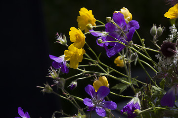 Image showing summer flowers