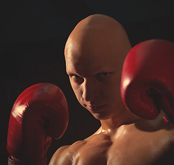 Image showing fighter in red gloves