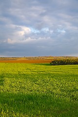 Image showing Agircutural landscape with clouds