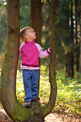 Image showing Little beauty girl on tree