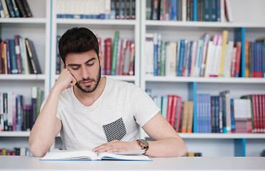 Image showing student study  in school library