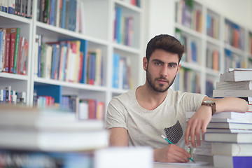 Image showing student study  in school library