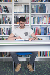 Image showing student study  in school library