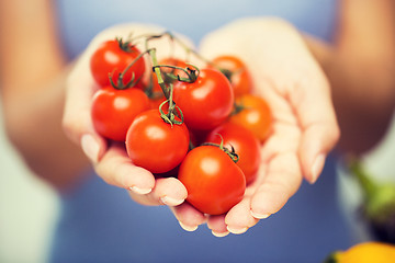 Image showing close up of woman holding cherry tomatoes in hands