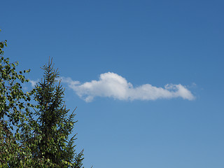 Image showing Tree and blue sky with clouds background