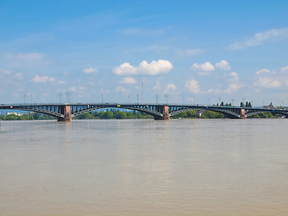 Image showing Rhine river in Mainz