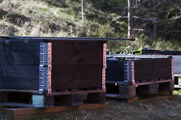 Image showing raised beds