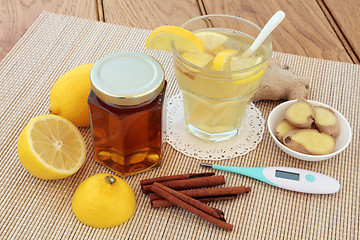 Image showing Cold and Flu Alternative Medicine