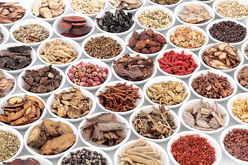 Image showing Chinese Healing Herbs