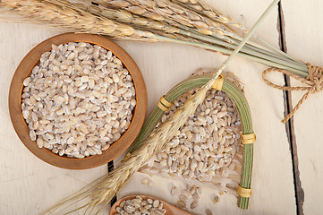 Image showing organic barley grains