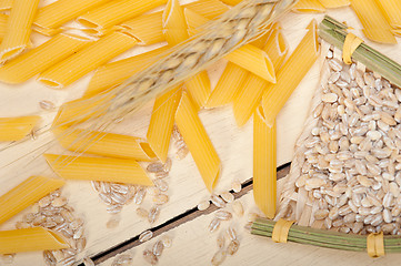 Image showing Italian pasta penne with wheat