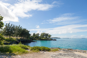 Image showing Bermuda Coast Rock Formations