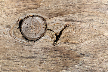 Image showing Old wood background