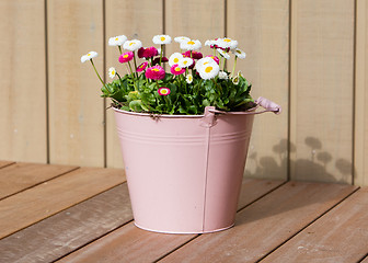 Image showing Bouquet of daisy flowers in a bucket