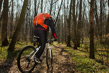 Image showing Cyclist Riding the Bike